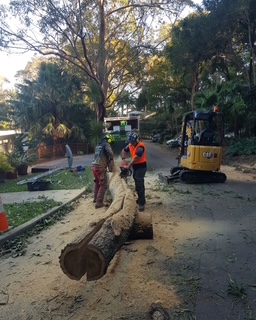 Storm damage response