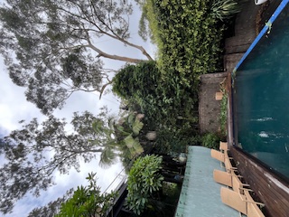 Tree pruning service